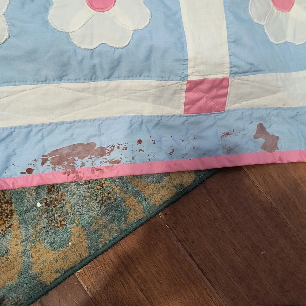 Homemade Twin Quilt And Two Matching Pillows